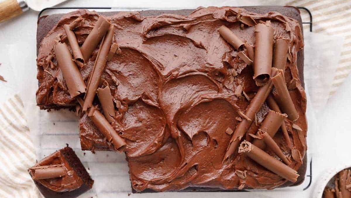 Chocolate Olive Oil Cake. 